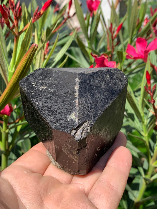 Tourmaline noire, spécimen naturel à 3 faces de 80 x 65 x 70 mm - 555 grammes. Une très belle et unique pièce !