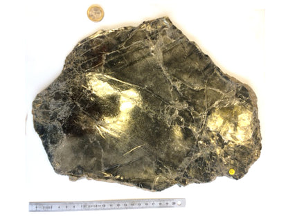 Mica noir ou Biotite  - Tranche naturelle de 250 grammes - de 40 x 30 x 10mm ! Superbe et pièce rare !
