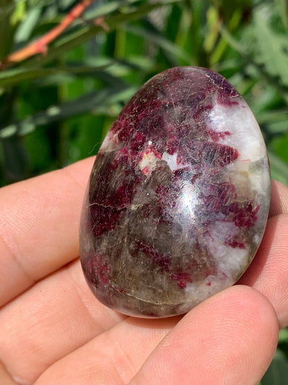 Tourmaline Rubellite, galet de 51 x 40 x 25 mm - 68,4 grammes. Une très belle et unique pièce !