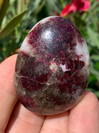 Tourmaline Rubellite, galet de 51 x 40 x 25 mm - 68,4 grammes. Une très belle et unique pièce !