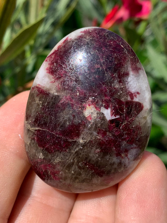 Tourmaline Rubellite, galet de 51 x 40 x 25 mm - 68,4 grammes. Une très belle et unique pièce !