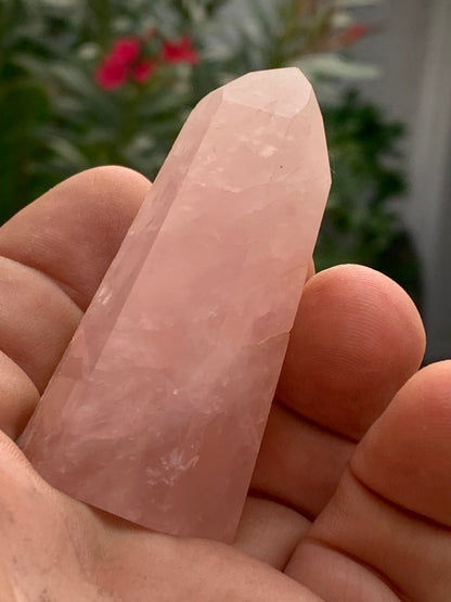 Quartz rose, pointe laser de 62 x 28 x 24 millimètres - 58 grammes. Superbe qualité, parfait pour vos collections, expositions...