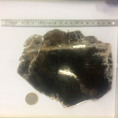 Mica noir ou Biotite  - Tranche naturelle de 120 grammes - de 130 x 100 x 9mm ! Superbe et pièce rare !