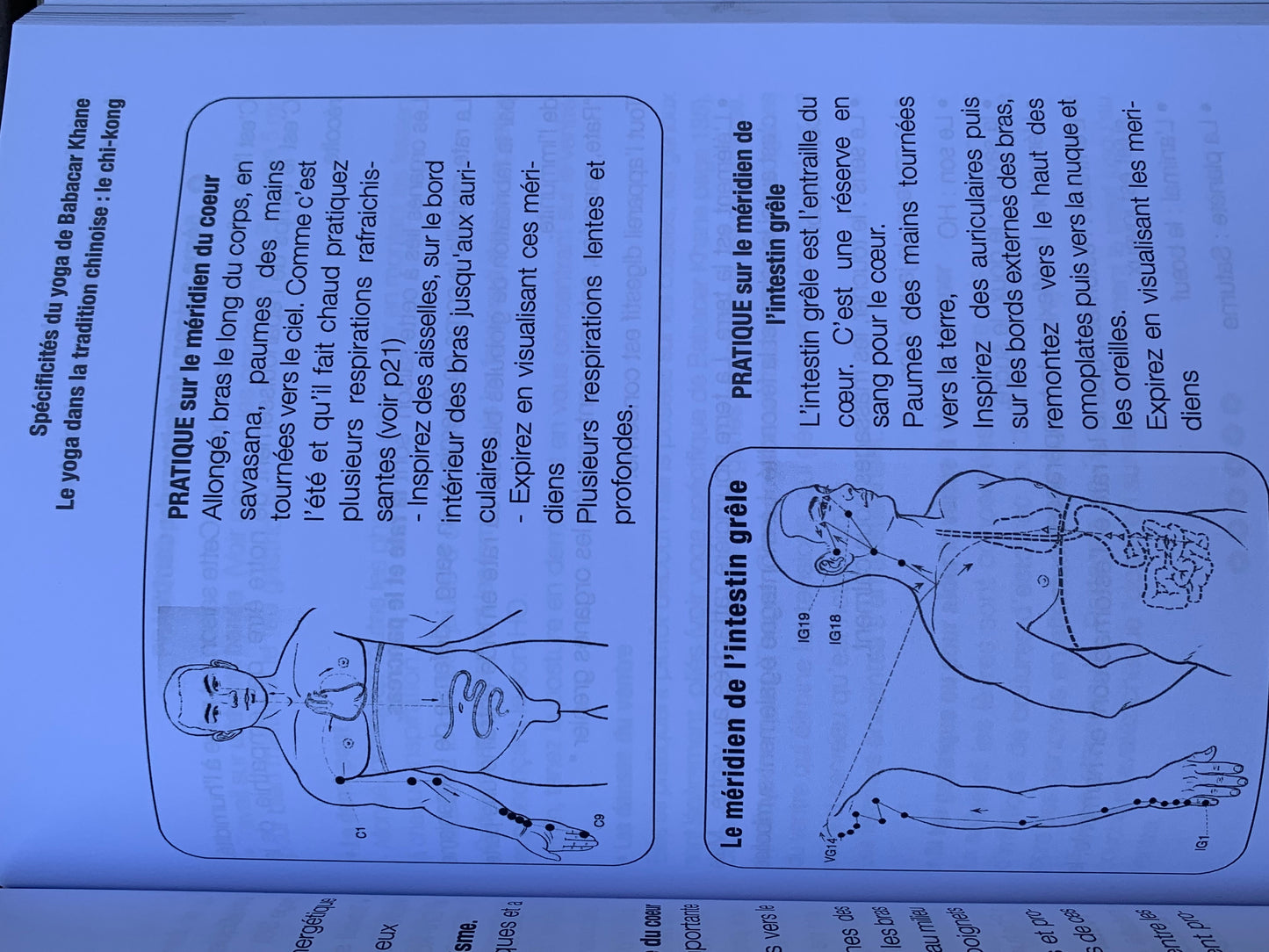 L’enseignement de Babacar Khane : Yoga des Pharaons, Hatha Yoga et Yoga Taoïste Chinois par Josette Frignac et Manon Lemaire. Superbe livre, complet et enrichissant !