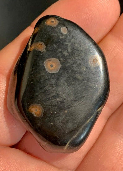 Oeil de faucon ou Oeil de tigre bleu - Pierre roulée - 37 x 30 x 14 mm - 24,9 gr.