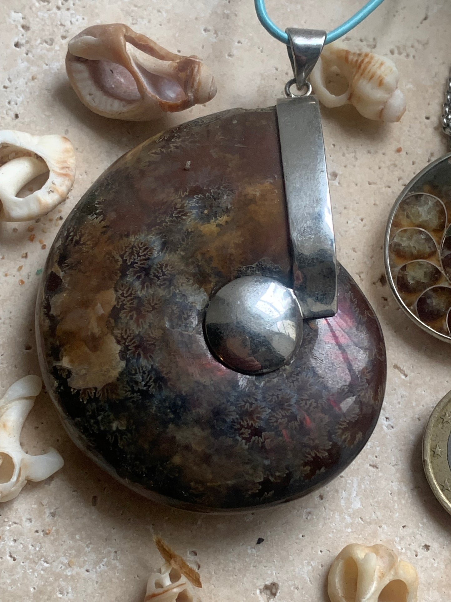 Fossil ammonite pendants, available in two sizes: 60x50x20 and 35x25x10 mm. Each piece is authentic and unique, revealing the natural spirals and fascinating patterns of this fossil. Comes with a drawstring, ready to wear or give as a gift!