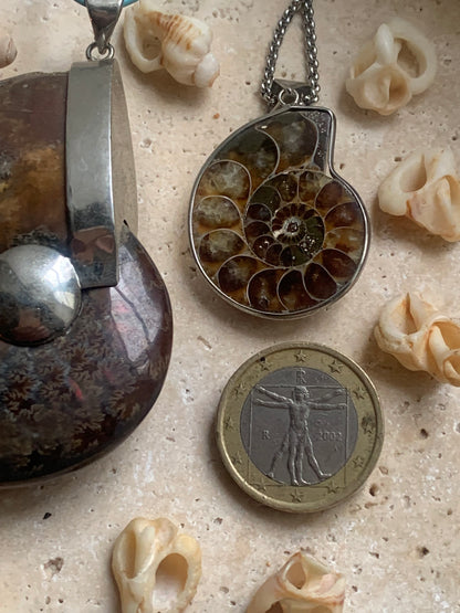 Fossil ammonite pendants, available in two sizes: 60x50x20 and 35x25x10 mm. Each piece is authentic and unique, revealing the natural spirals and fascinating patterns of this fossil. Comes with a drawstring, ready to wear or give as a gift!