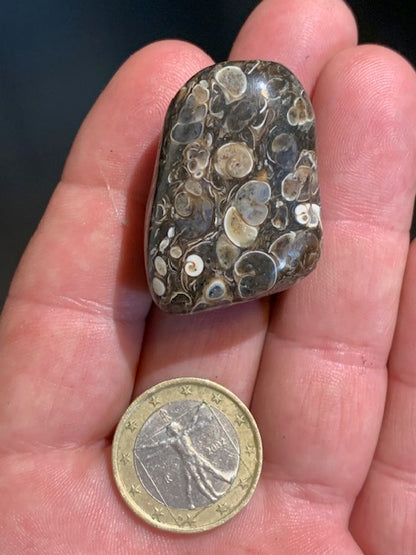 Agate Turritelle ou Agate Fossile - 40 x 26 x 20 mm - 30,2 gr.