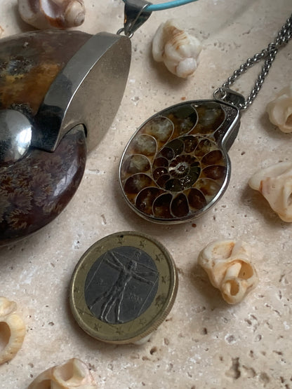 Fossil ammonite pendants, available in two sizes: 60x50x20 and 35x25x10 mm. Each piece is authentic and unique, revealing the natural spirals and fascinating patterns of this fossil. Comes with a drawstring, ready to wear or give as a gift!