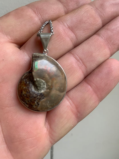 Fossil ammonite pendants, available in two sizes: 60x50x20 and 35x25x10 mm. Each piece is authentic and unique, revealing the natural spirals and fascinating patterns of this fossil. Comes with a drawstring, ready to wear or give as a gift!
