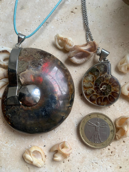 Fossil ammonite pendants, available in two sizes: 60x50x20 and 35x25x10 mm. Each piece is authentic and unique, revealing the natural spirals and fascinating patterns of this fossil. Comes with a drawstring, ready to wear or give as a gift!