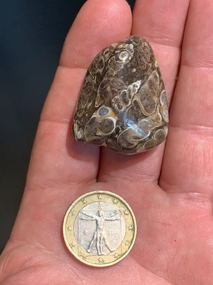 Agate Turritelle ou Agate Fossile - Pierre roulée - 37 x 30 x 18 mm / 24,2 gr.
