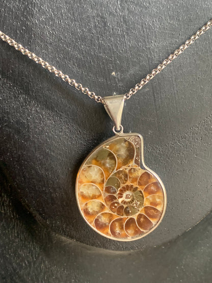 Fossil ammonite pendants, available in two sizes: 60x50x20 and 35x25x10 mm. Each piece is authentic and unique, revealing the natural spirals and fascinating patterns of this fossil. Comes with a drawstring, ready to wear or give as a gift!