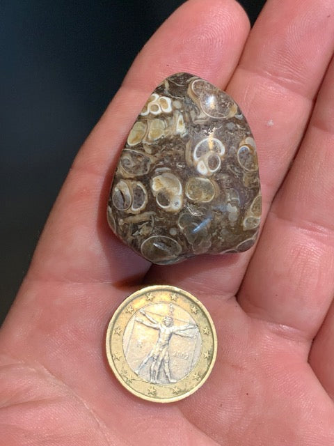 Agate Turritelle ou Agate Fossile - Pierre roulée - 37 x 30 x 18 mm / 24,2 gr.