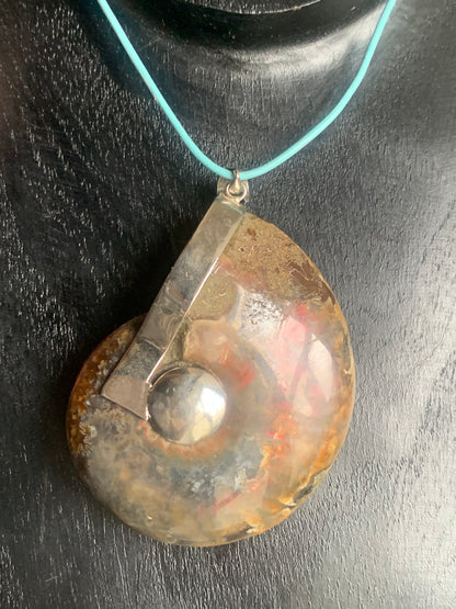Fossil ammonite pendants, available in two sizes: 60x50x20 and 35x25x10 mm. Each piece is authentic and unique, revealing the natural spirals and fascinating patterns of this fossil. Comes with a drawstring, ready to wear or give as a gift!