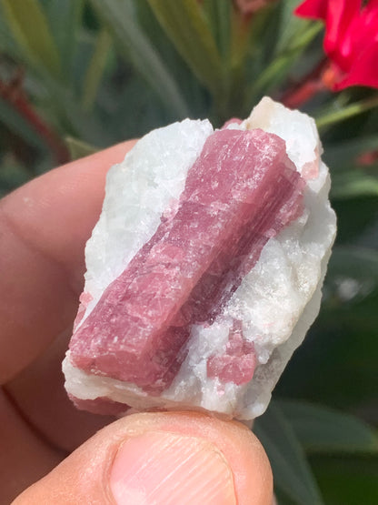 Tourmaline Rubellite, spécimen naturel de 45 x 31 x 30 mm - 47,7 grammes. Belle petite pièce !
