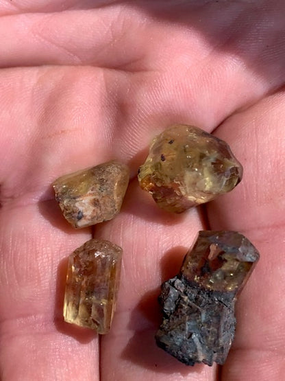 Apatite jaune, cristaux naturels bruts, vente au choix - Environ 15 x 9 x 8 mm - 2 à 5 gr.
