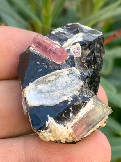 Quartz Morion / Quartz Fumé avec Tourmaline Rubellite, spécimen naturel de 50 x 37 x 24mm - 37,5 grammes. Belle petite pièce !