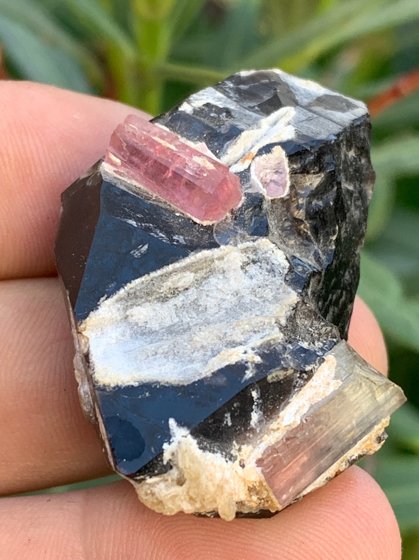 Quartz Morion / Quartz Fumé avec Tourmaline Rubellite, spécimen naturel de 50 x 37 x 24mm - 37,5 grammes. Belle petite pièce !