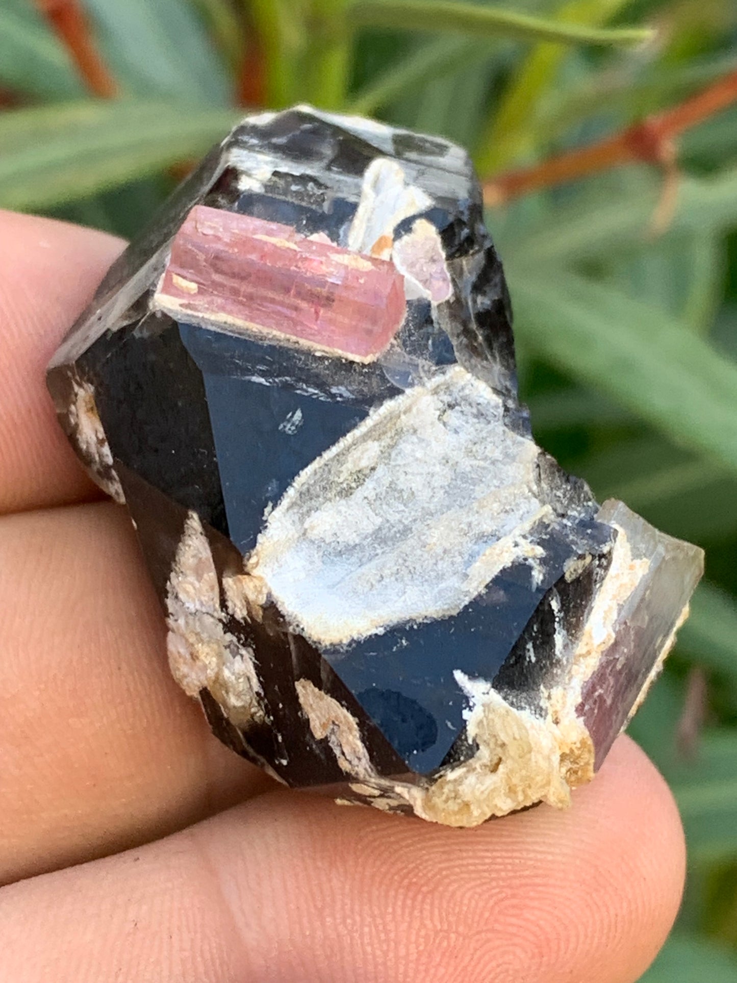 Quartz Morion / Quartz Fumé avec Tourmaline Rubellite, spécimen naturel de 50 x 37 x 24mm - 37,5 grammes. Belle petite pièce !