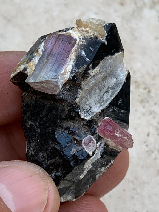 Quartz Morion / Quartz Fumé avec Tourmaline Rubellite, spécimen naturel de 50 x 37 x 24mm - 37,5 grammes. Belle petite pièce !