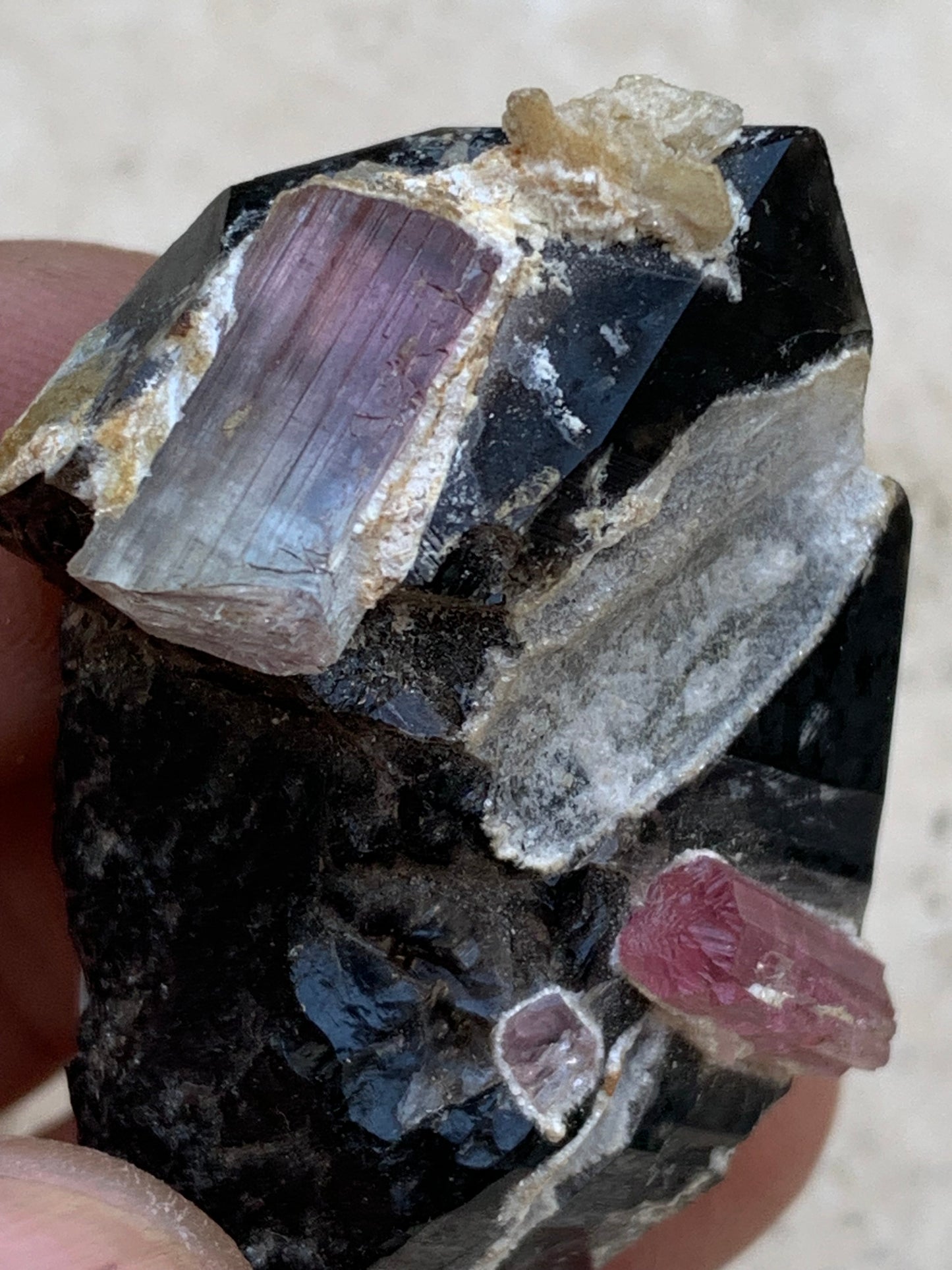 Quartz Morion / Quartz Fumé avec Tourmaline Rubellite, spécimen naturel de 50 x 37 x 24mm - 37,5 grammes. Belle petite pièce !