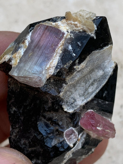 Quartz Morion / Quartz Fumé avec Tourmaline Rubellite, spécimen naturel de 50 x 37 x 24mm - 37,5 grammes. Belle petite pièce !