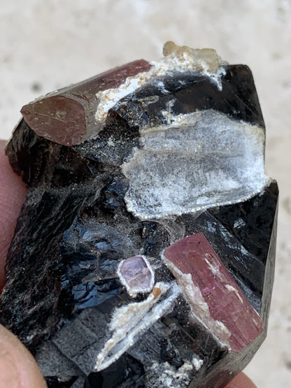 Quartz Morion / Quartz Fumé avec Tourmaline Rubellite, spécimen naturel de 50 x 37 x 24mm - 37,5 grammes. Belle petite pièce !