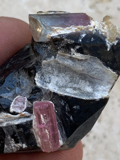 Quartz Morion / Quartz Fumé avec Tourmaline Rubellite, spécimen naturel de 50 x 37 x 24mm - 37,5 grammes. Belle petite pièce !