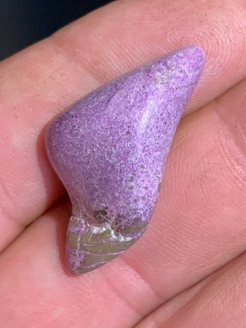 Stichite – Pierre roulée - 33 x 17 x 10 mm/ 4,4 gr.