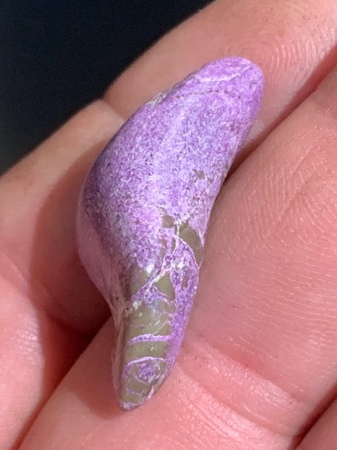Stichite – Pierre roulée - 33 x 17 x 10 mm/ 4,4 gr.