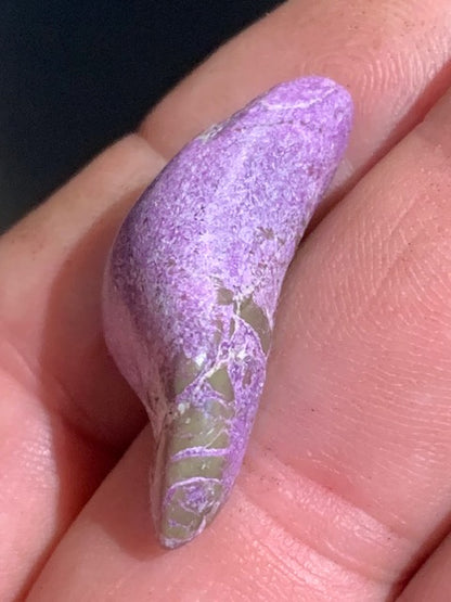 Stichite – Pierre roulée - 33 x 17 x 10 mm/ 4,4 gr.
