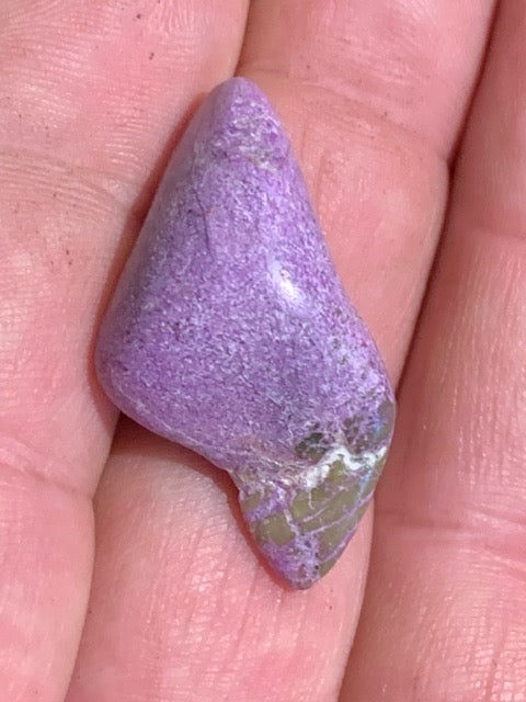 Stichite – Pierre roulée - 33 x 17 x 10 mm/ 4,4 gr.