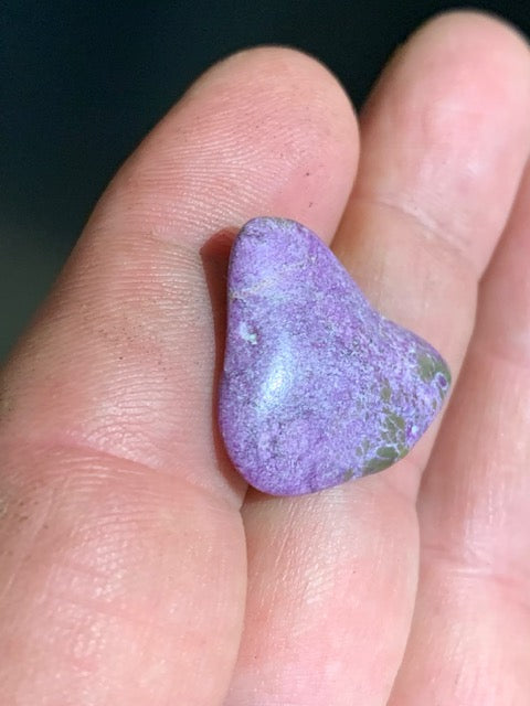 Stichite – Pierre roulée - 24 x 21 x 5 mm/ 2,6 gr.