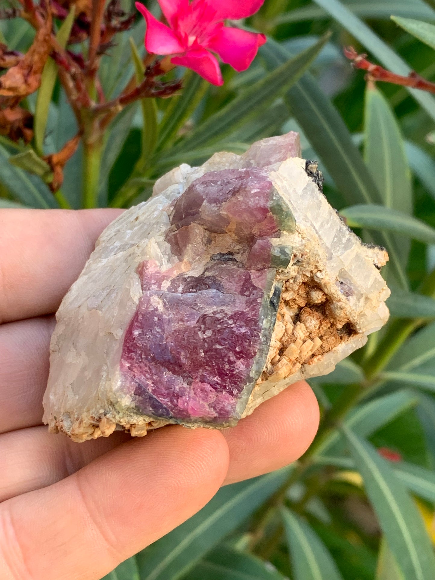Tourmaline Rubellite, 58 x 50 x 43mm - 136,2 grammes. Une très belle petite pièce !