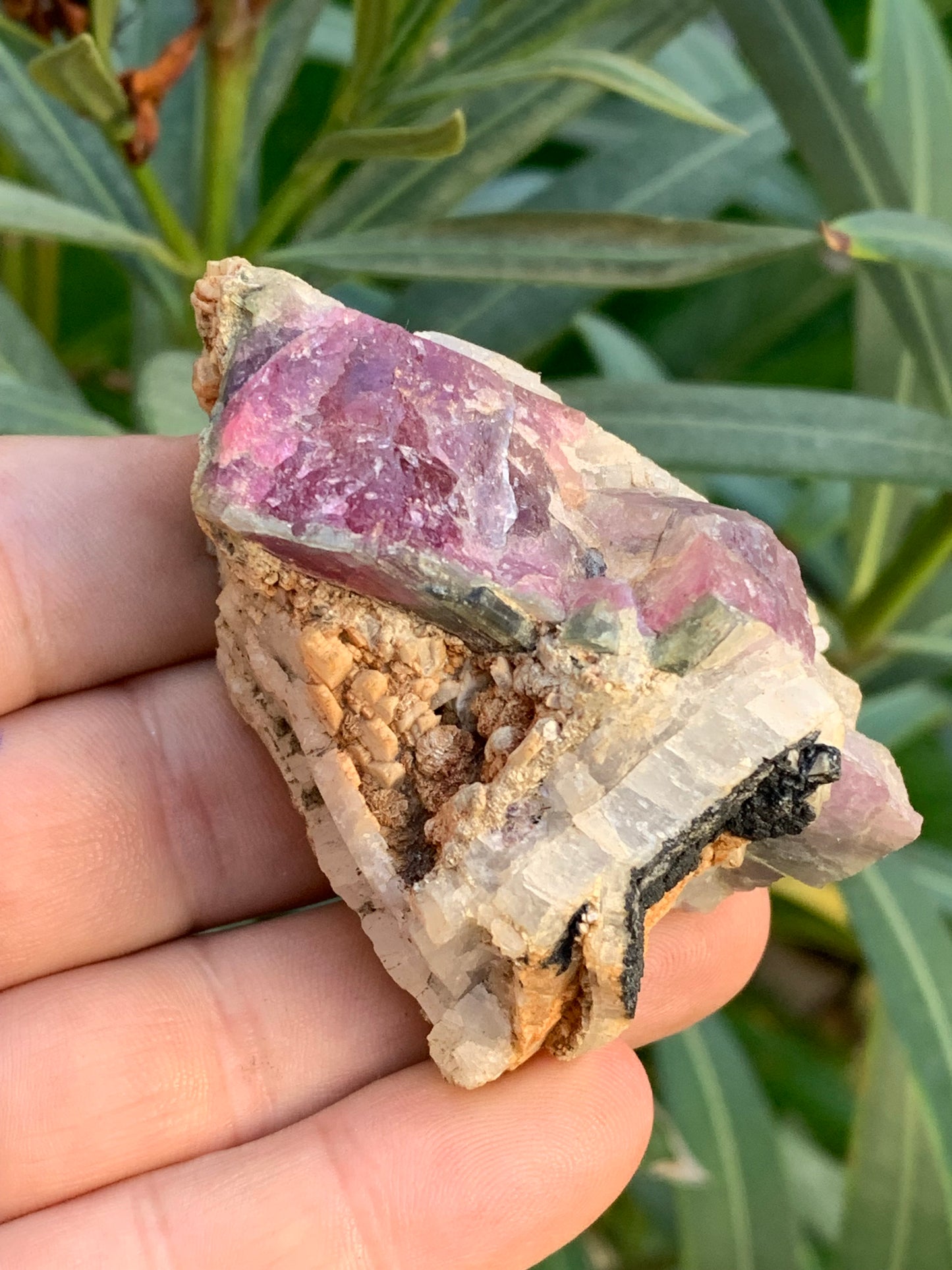 Tourmaline Rubellite, 58 x 50 x 43mm - 136,2 grammes. Une très belle petite pièce !