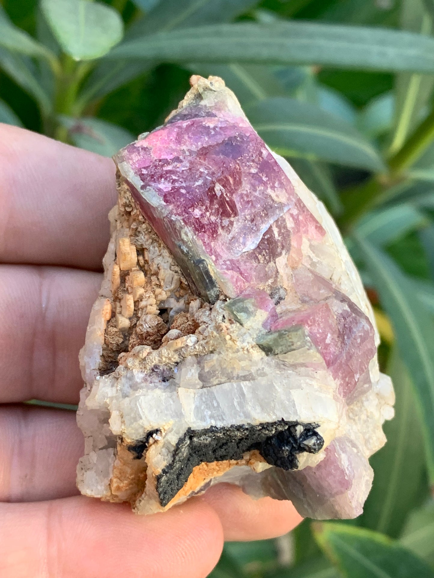 Tourmaline Rubellite, 58 x 50 x 43mm - 136,2 grammes. Une très belle petite pièce !