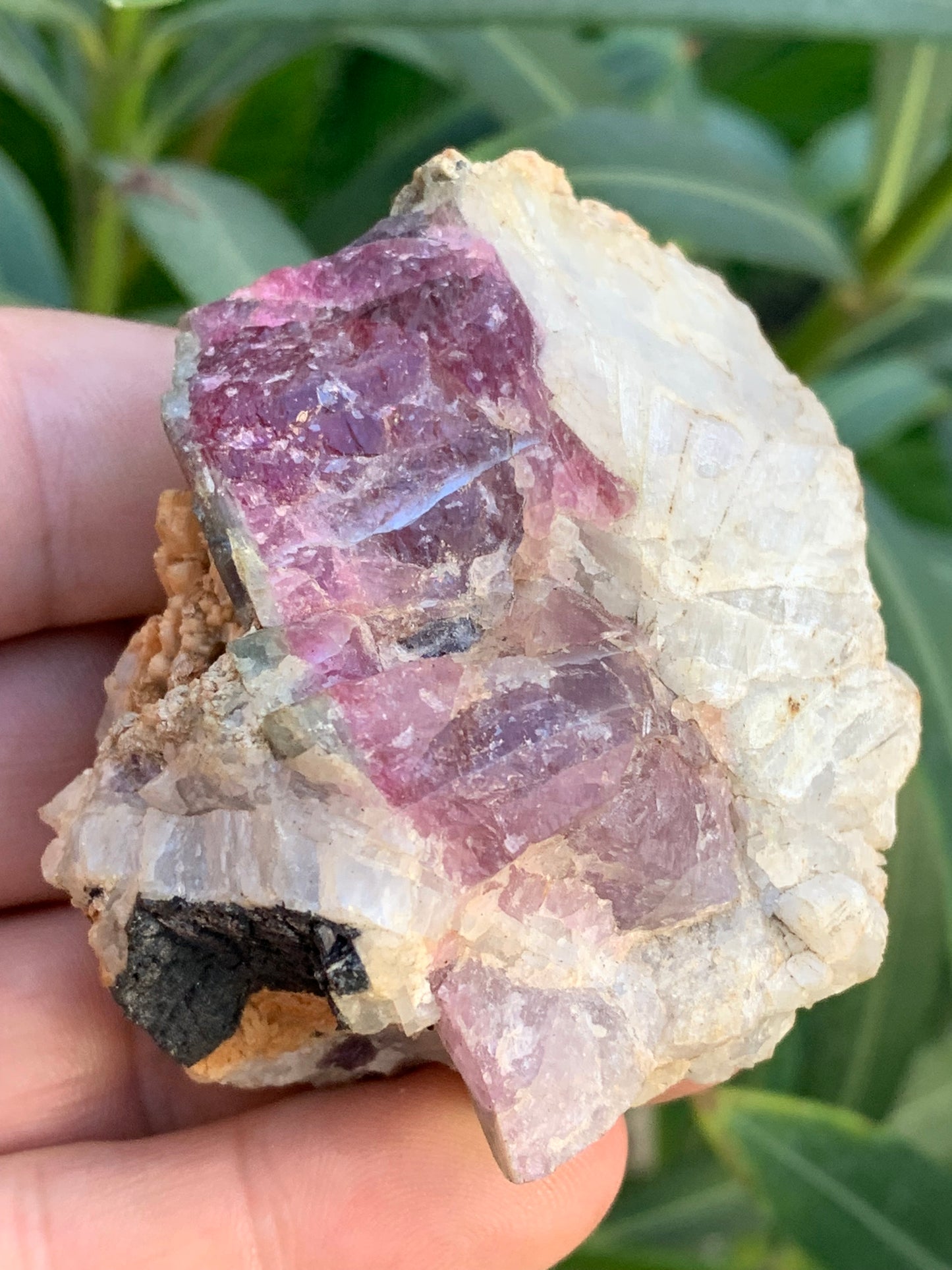 Tourmaline Rubellite, 58 x 50 x 43mm - 136,2 grammes. Une très belle petite pièce !