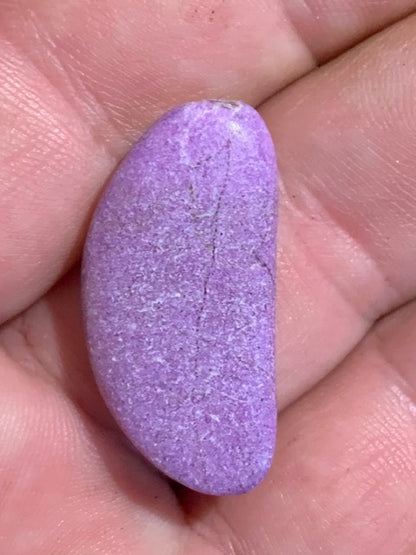 Stichite – Pierre roulée - 30 x 15 x 5 mm/ 2,6 gr.