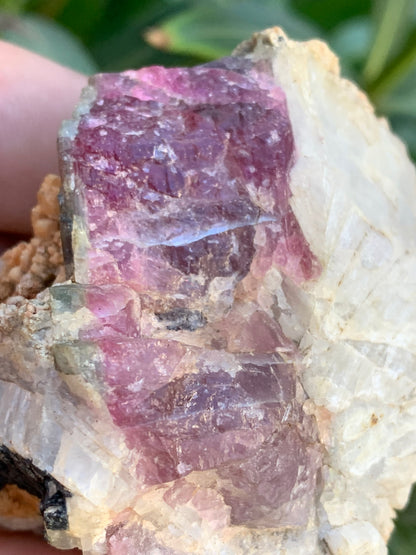 Tourmaline Rubellite, 58 x 50 x 43mm - 136,2 grammes. Une très belle petite pièce !