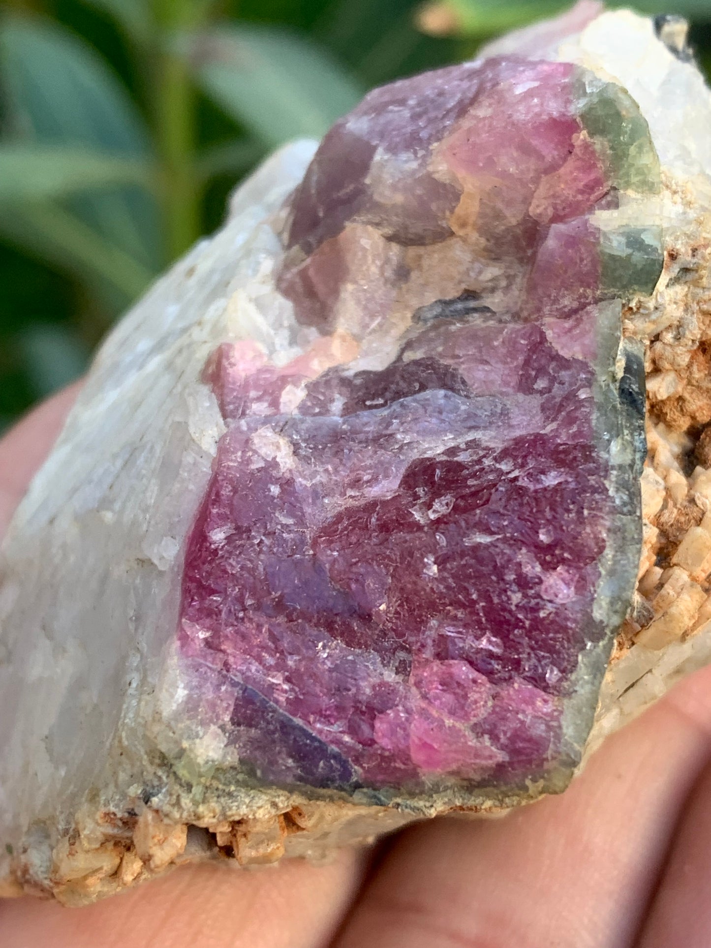 Tourmaline Rubellite, 58 x 50 x 43mm - 136,2 grammes. Une très belle petite pièce !