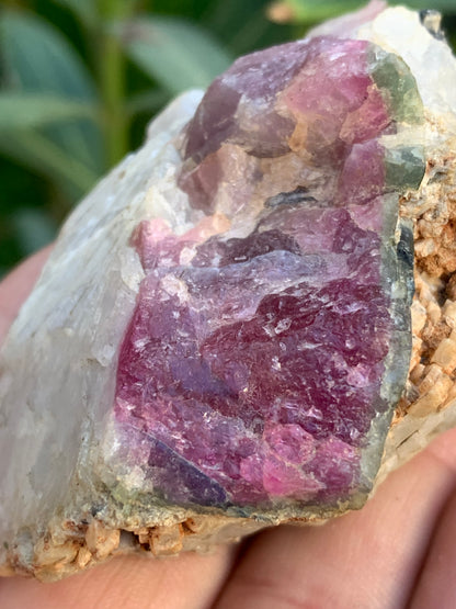 Tourmaline Rubellite, 58 x 50 x 43mm - 136,2 grammes. Une très belle petite pièce !