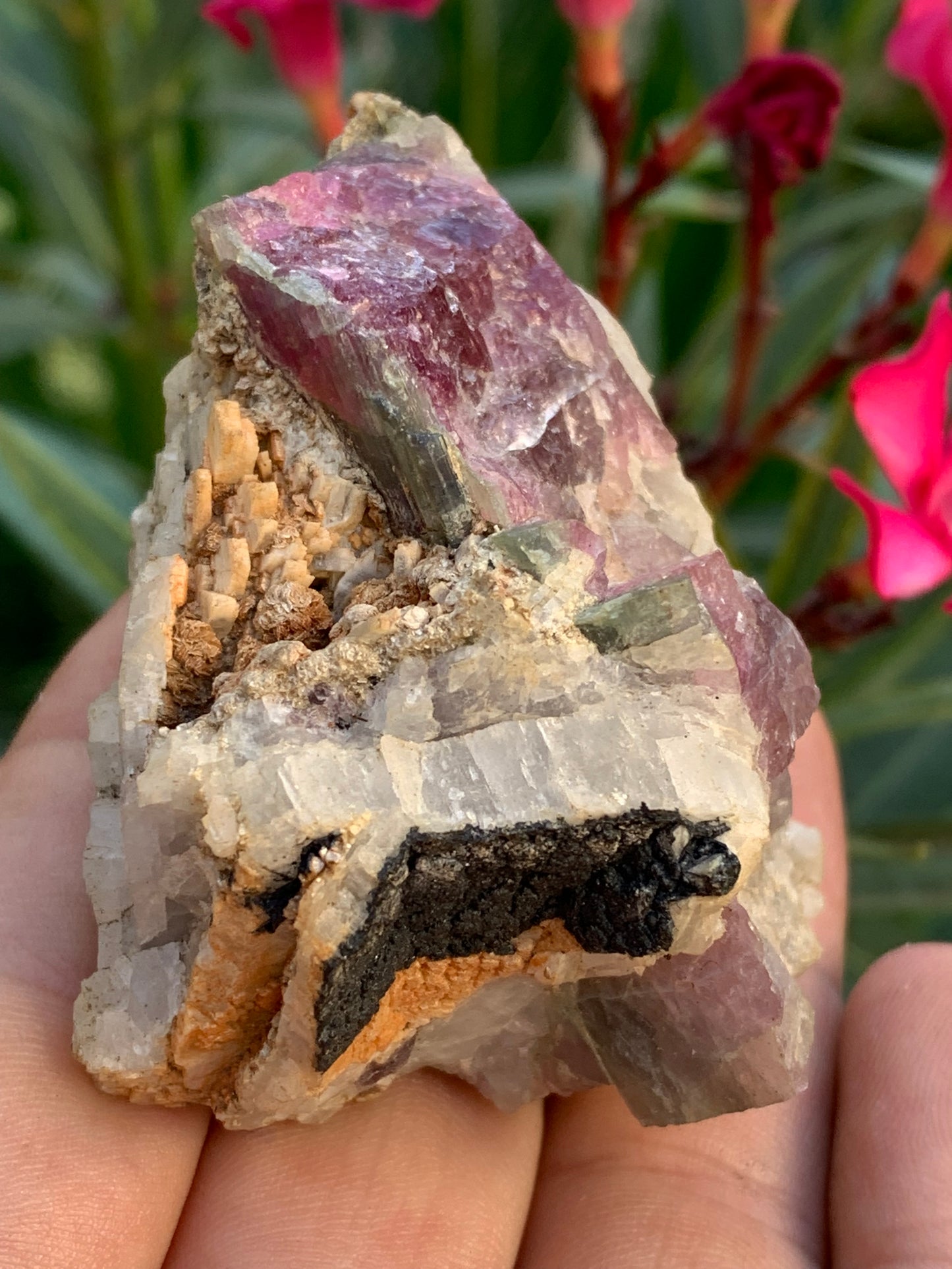 Tourmaline Rubellite, 58 x 50 x 43mm - 136,2 grammes. Une très belle petite pièce !