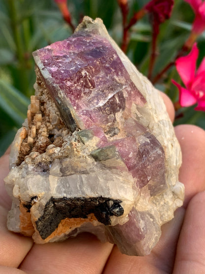 Tourmaline Rubellite, 58 x 50 x 43mm - 136,2 grammes. Une très belle petite pièce !