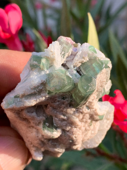 Tourmaline verte/ Verdélite et melon d'eau , spécimen naturel de 58 x 40 x 25 mm - 49,7 grammes !