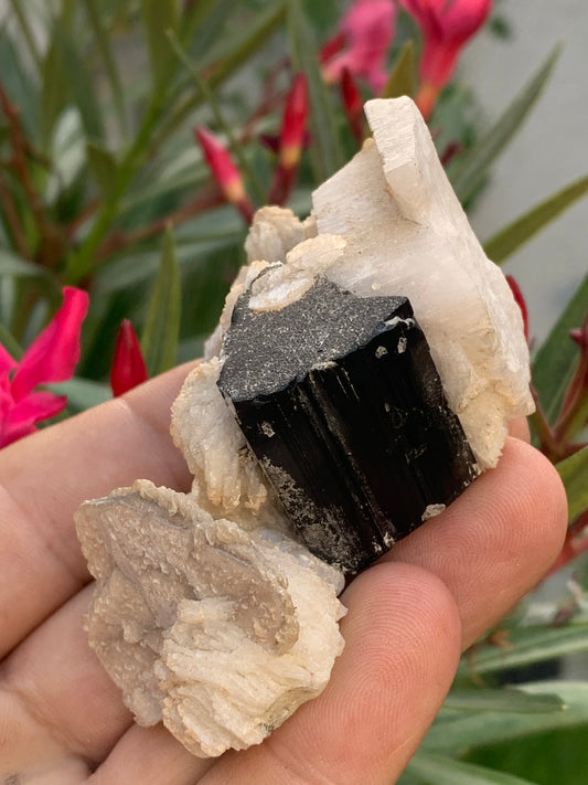 Tourmaline noire, spécimen naturel de 80 x 50 x 36 mm - 117 grammes. Une très belle tourmaline sur Quartz et Muscovite !