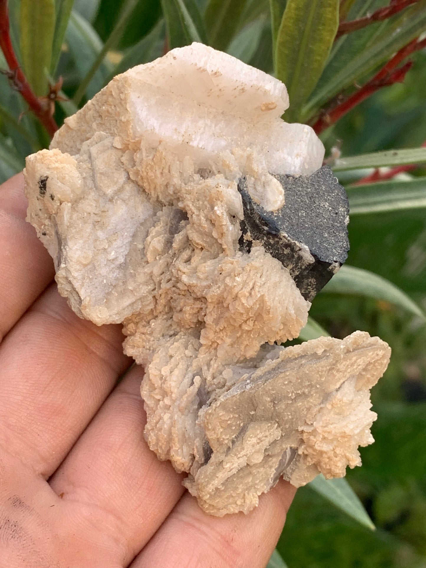 Tourmaline noire, spécimen naturel de 80 x 50 x 36 mm - 117 grammes. Une très belle tourmaline sur Quartz et Muscovite !