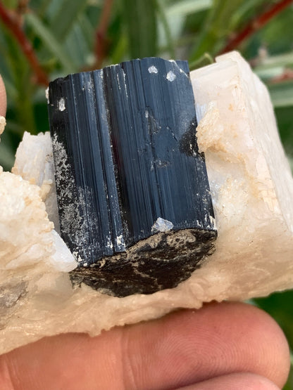 Tourmaline noire, spécimen naturel de 80 x 50 x 36 mm - 117 grammes. Une très belle tourmaline sur Quartz et Muscovite !