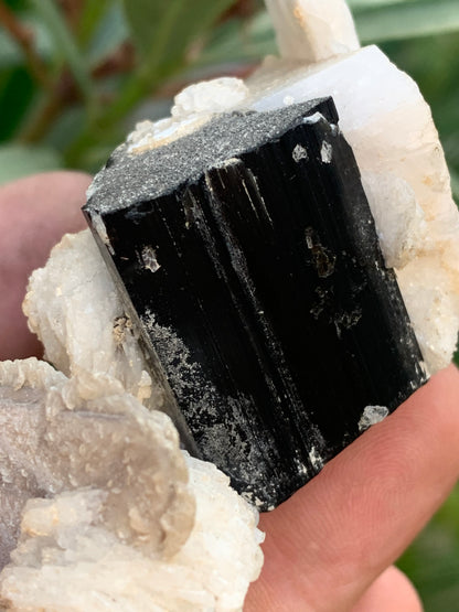 Tourmaline noire, spécimen naturel de 80 x 50 x 36 mm - 117 grammes. Une très belle tourmaline sur Quartz et Muscovite !