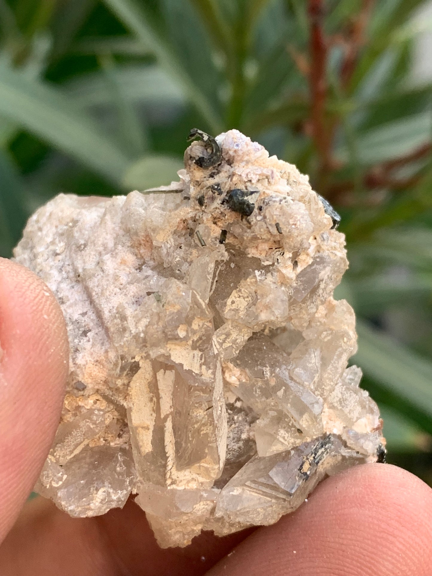 Tourmaline verte/ Verdélite sur cristal de quartz, spécimen naturel de 47 x 40 x 36 mm - 38,7 grammes environ. Magnifique pièce de verdélite au milieu de cristaux de quartz facettés !
